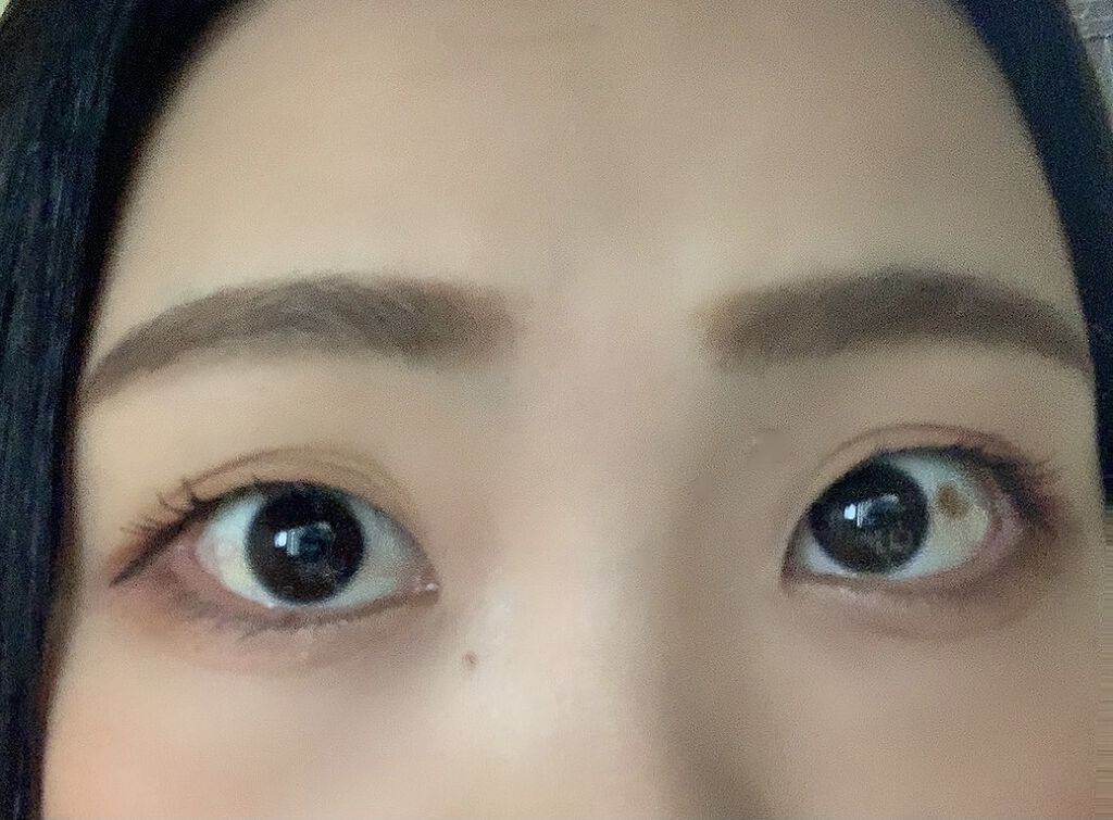 ディアダイアリー・クラシックライフ/KISS NEW YORK/アイシャドウパレットを使ったクチコミ（2枚目）