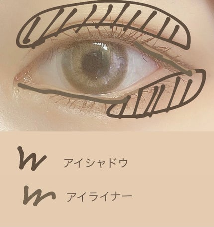 ロング&カールマスカラ アドバンストフィルム/ヒロインメイク/マスカラを使ったクチコミ(2枚目)