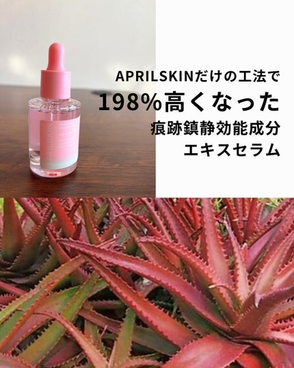 アネ/フォロバ100 on LIPS 「☜その他の投稿はここからどうぞどうもane.です。こんばんは☾..」(3枚目)