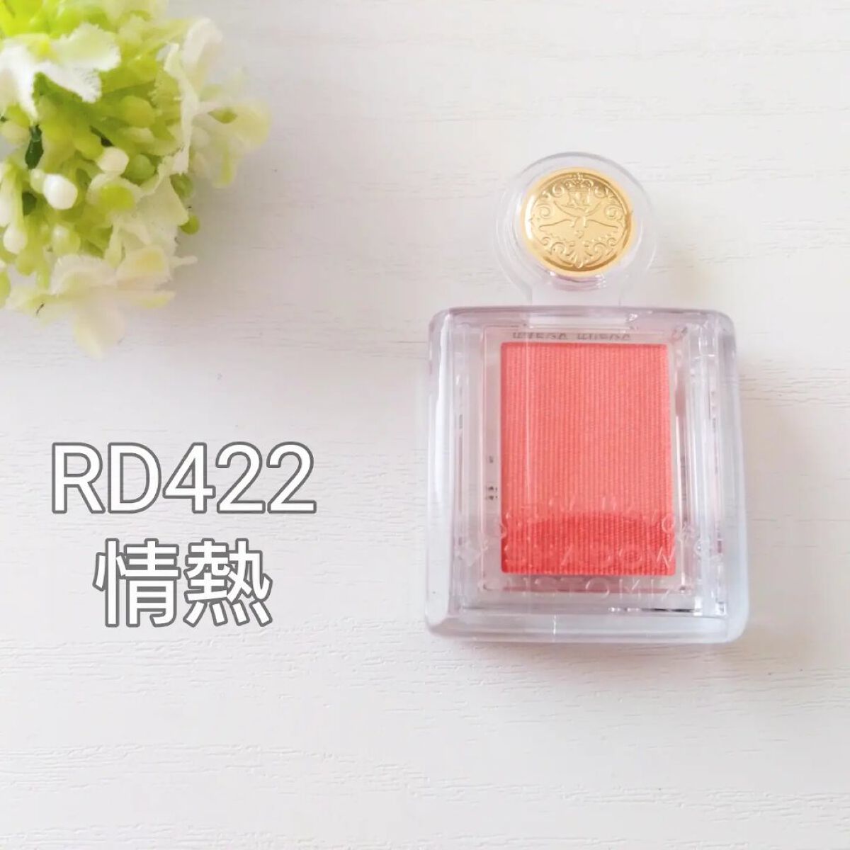 シャドーカスタマイズ RD422 熱情/MAJOLICA MAJORCA/単色アイシャドウを使ったクチコミ（1枚目）