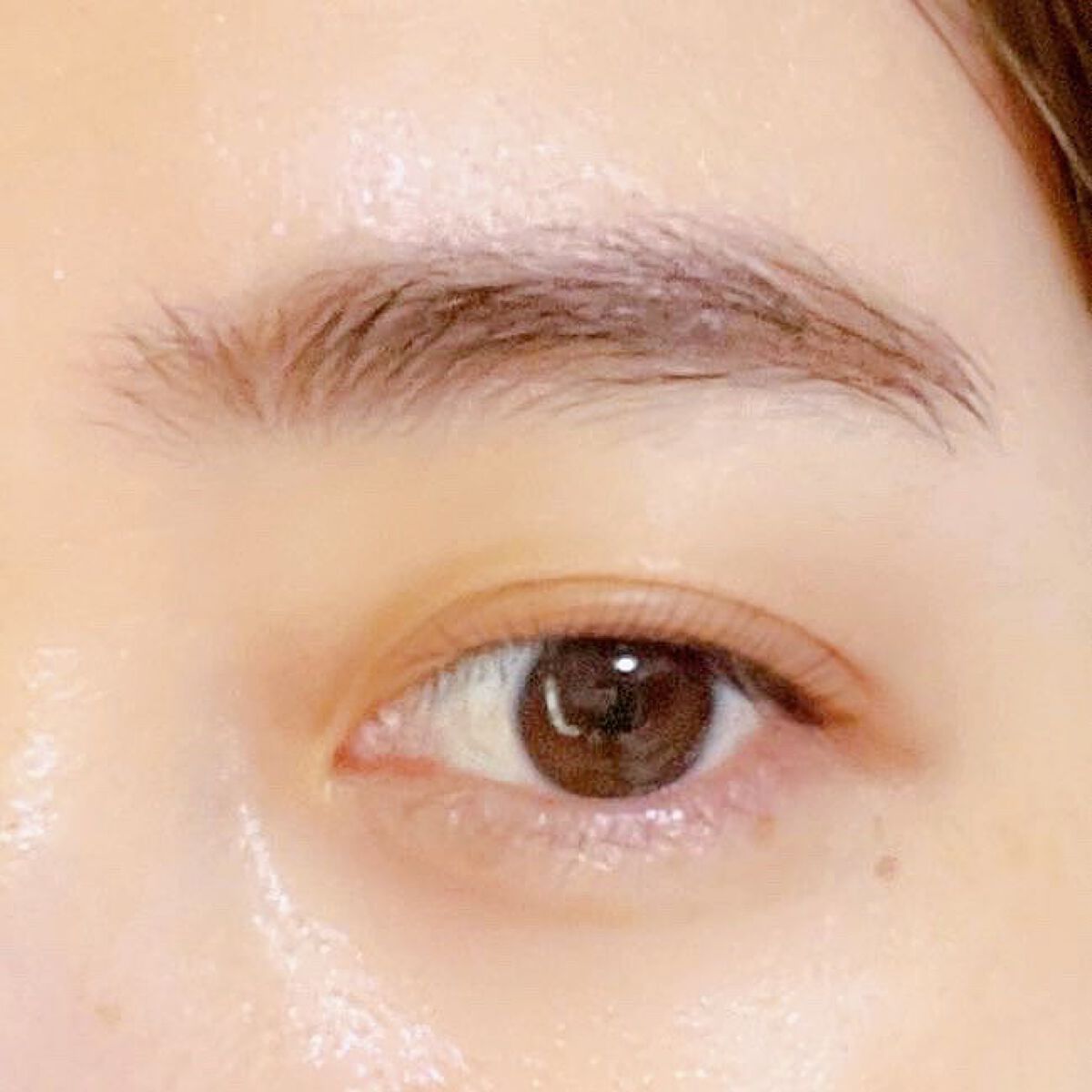 パウダーアイブロウ/media luxe/パウダーアイブロウを使ったクチコミ(6枚目)