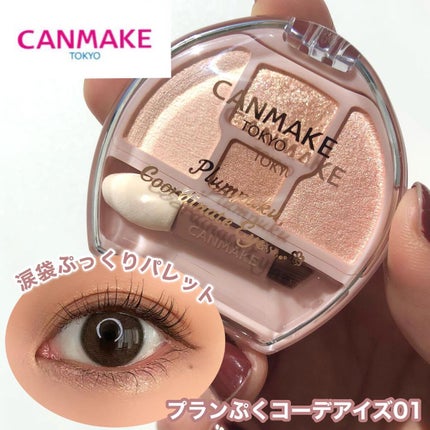 プランぷくコーデアイズ/キャンメイク/パウダーアイシャドウを使ったクチコミ(1枚目)