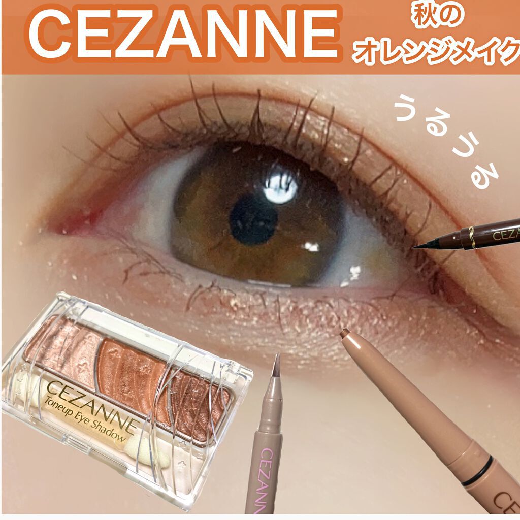 極細 アイライナーR/CEZANNE/リキッドアイライナーを使ったクチコミ(1枚目)