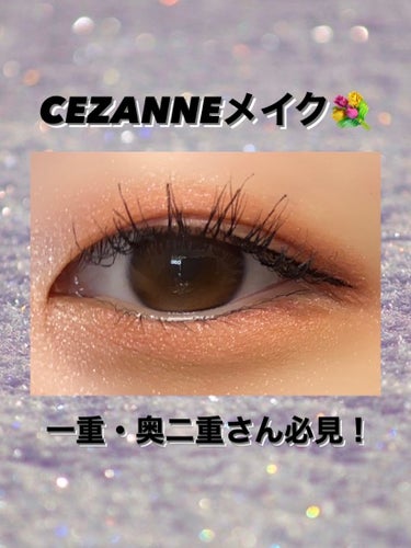 ニュアンスオンアイシャドウ/CEZANNE/アイシャドウパレットを使ったクチコミ（1枚目）