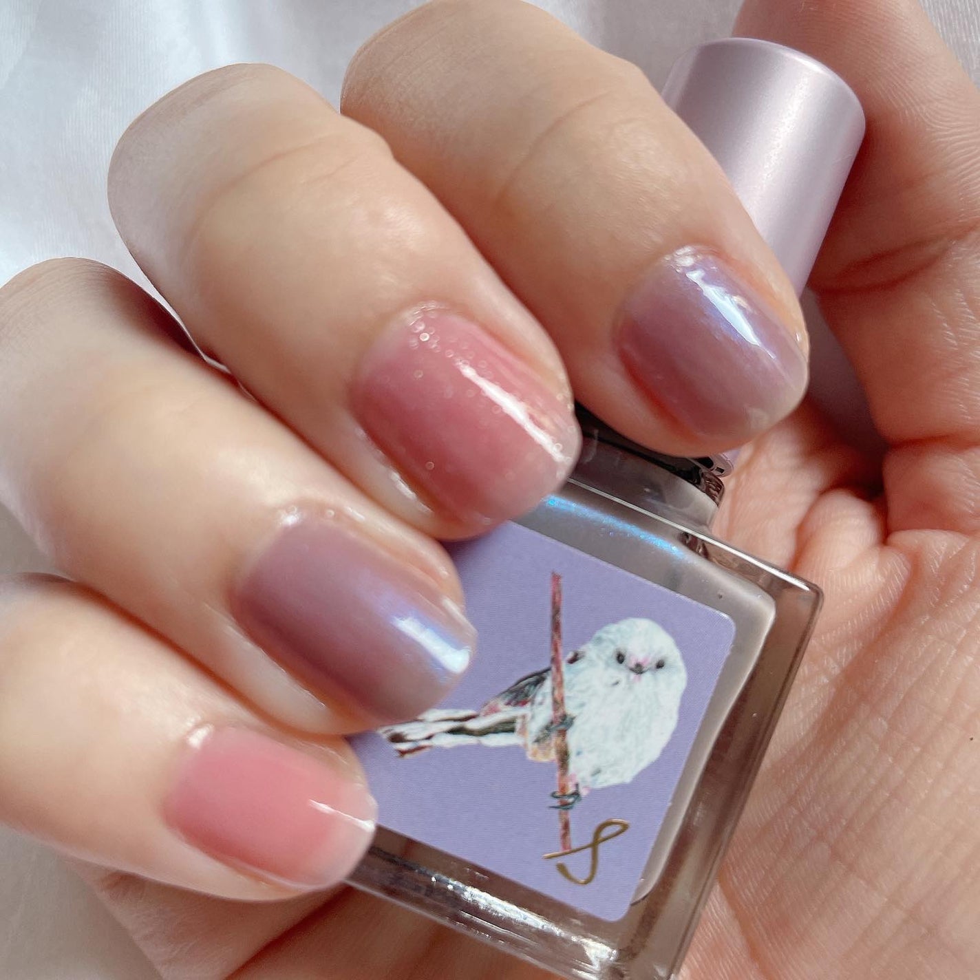 ネイルエス/ nail S(ネイルエス) /マニキュアを使ったクチコミ(6枚目)