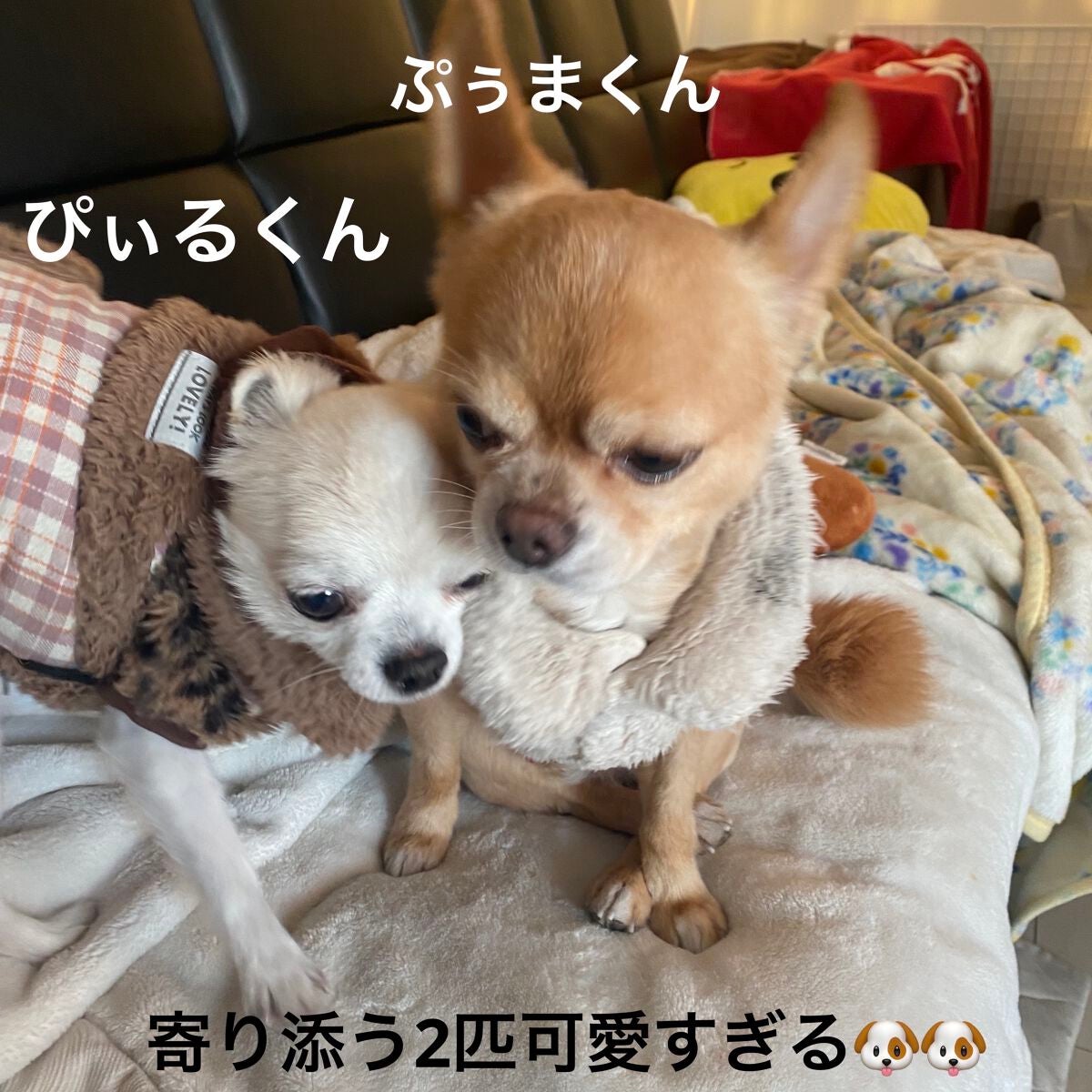 アリュールド シングル アイシャドウ/DAZZSHOP/単色アイシャドウを使ったクチコミ(8枚目)