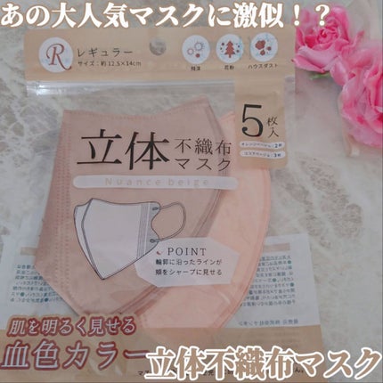 立体不織布マスク/DAISO/マスクを使ったクチコミ(1枚目)