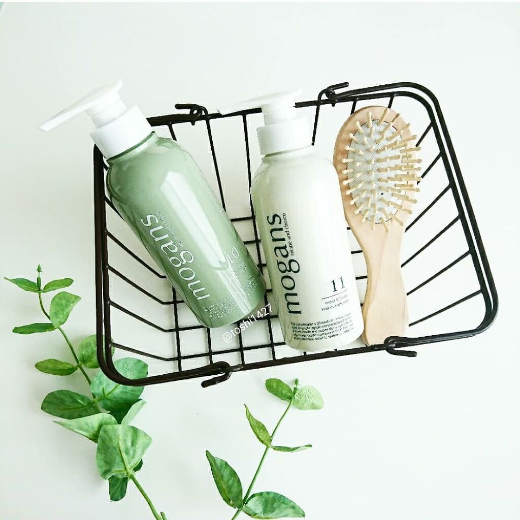 ノンシリコン アミノ酸シャンプー／コンディショナー (モイスト＆フォレスト) シャンプー/MOGANS/市販シャンプーを使ったクチコミ（1枚目）