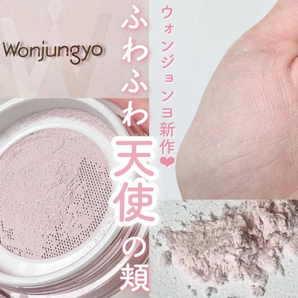 ウォンジョンヨ フィクシングブラーパウダー N/Wonjungyo/ルースパウダーを使ったクチコミ(1枚目)