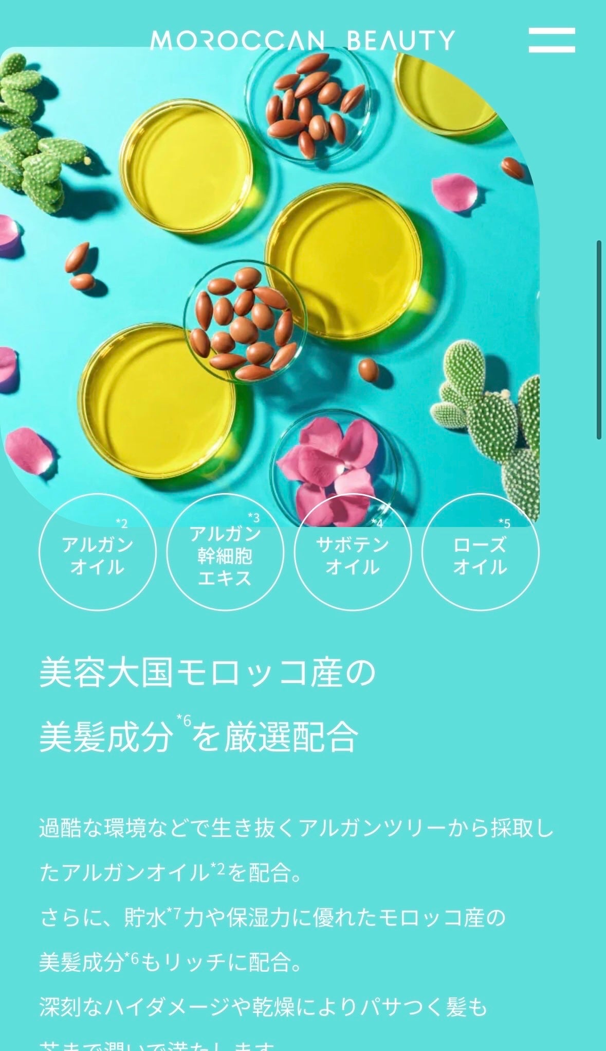 ディープモイスト シャンプー/ ヘアトリートメント/モロッカンビューティ/市販シャンプーを使ったクチコミ(3枚目)