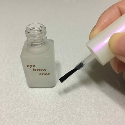 エバビレーナ アイブローコート/DAISO/アイブロウコートを使ったクチコミ(1枚目)