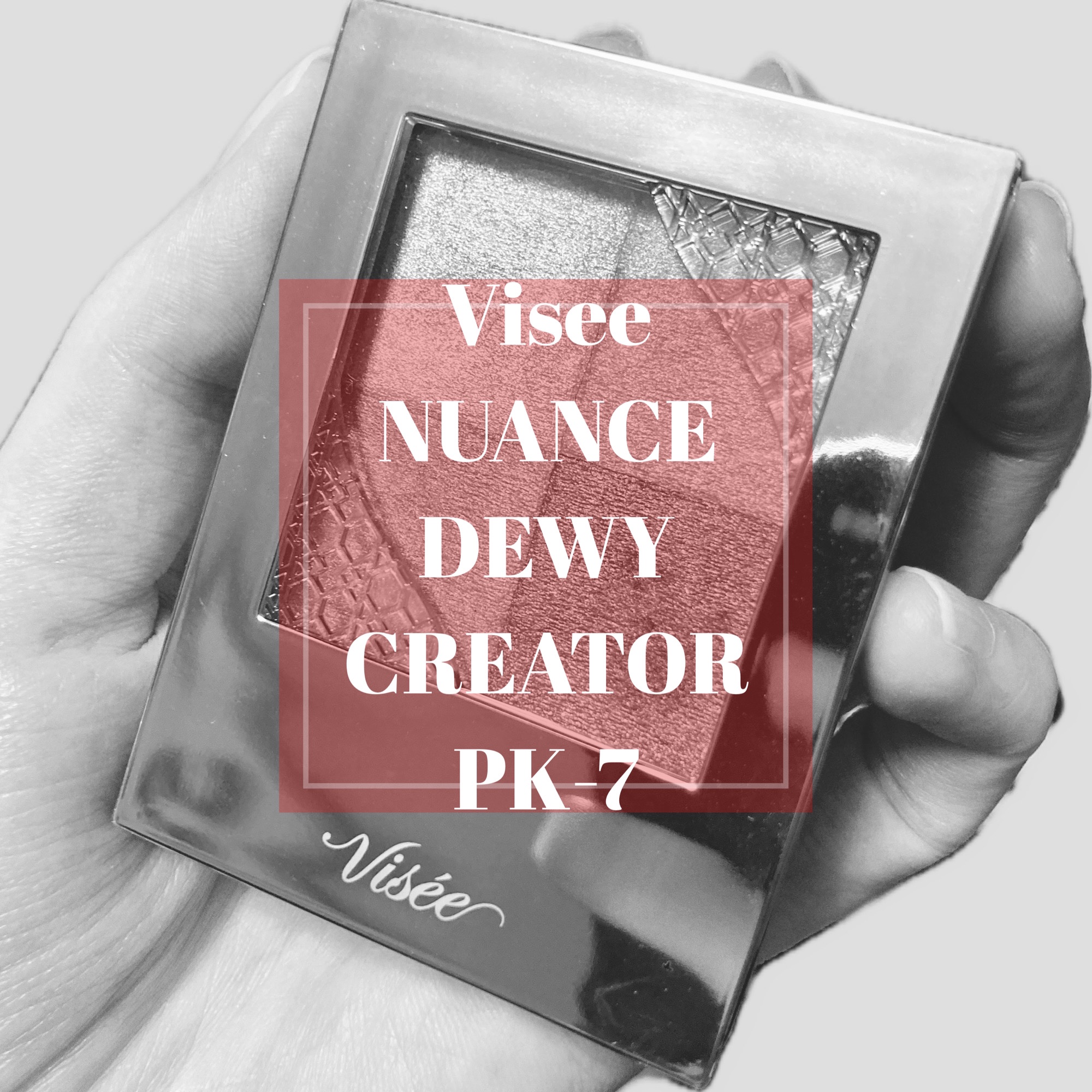 ニュアンス デューイ クリエイター/Visée/アイシャドウパレットを使ったクチコミ（1枚目）