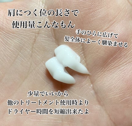 ナイトケアミルキーオイル/スリーク by サラサロン/ヘアオイルを使ったクチコミ(2枚目)