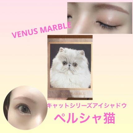 Venus Marble アイシャドウキャットシリーズ/Venus Marble/アイシャドウパレットを使ったクチコミ(1枚目)