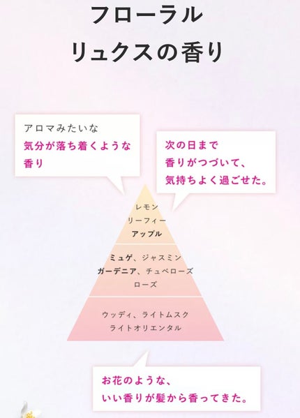 ã¶ãã¥ãŒã㣠髪ã®ãã¡çŸå®¹çŽ é«ªãå®ã ããªã¢ã·ã£ã³ããŒ/ã³ã³ãã£ã·ã§ããŒ/ãšãã»ã³ã·ã£ã«/ã·ã£ã³ããŒã»ã³ã³ãã£ã·ã§ããŒã䜿ã£ãã¯ãã³ãïŒ2æç®ïŒ