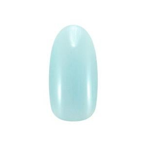 カラージェル 08 マント