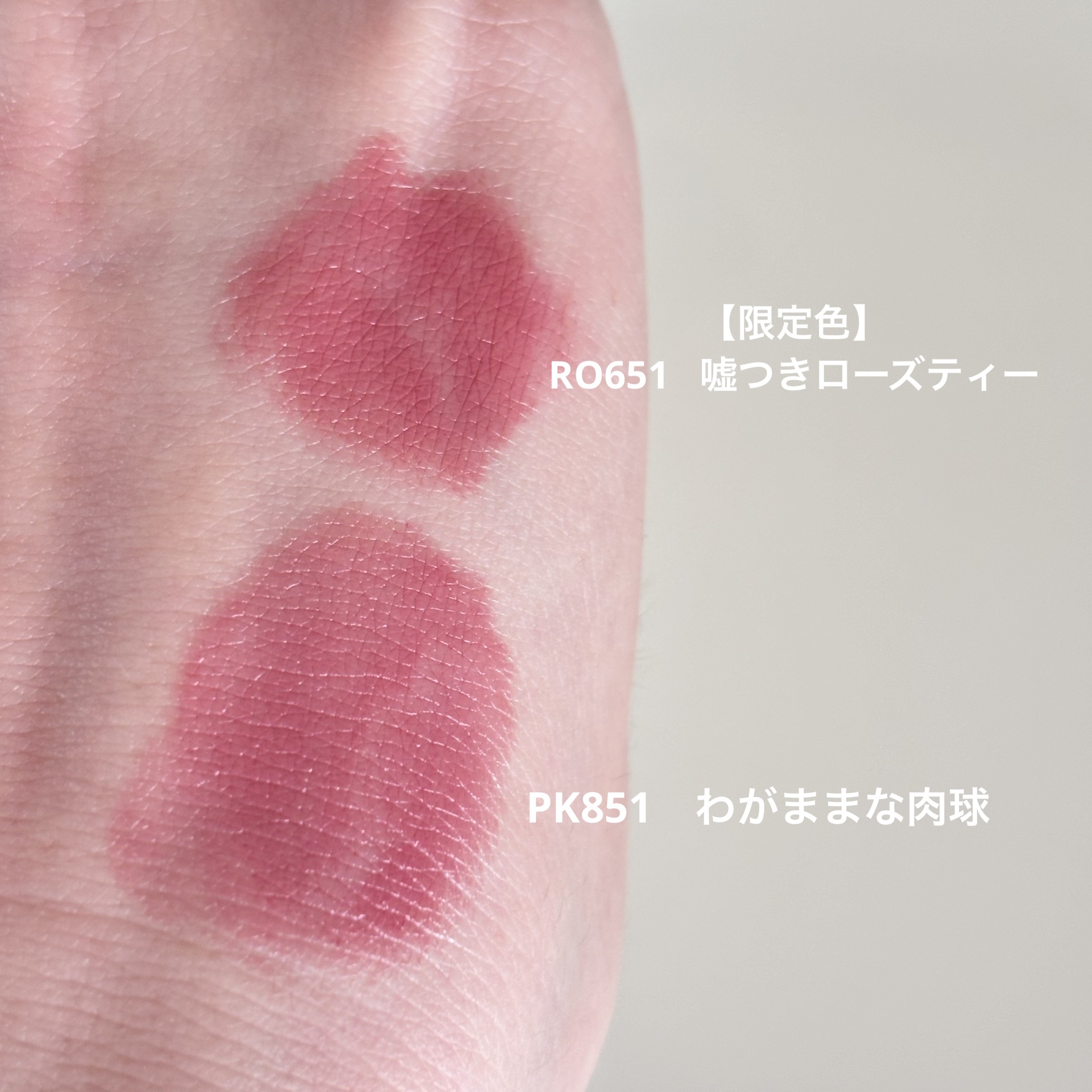 ネンマクフェイク ルージュ/Visée/口紅を使ったクチコミ（2枚目）