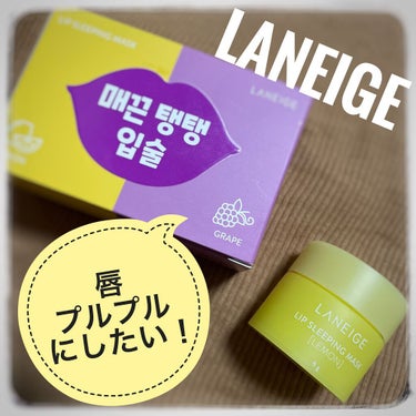 リップスリーピングマスク 相棒エディション/LANEIGE/リップケア・リップクリームを使ったクチコミ（1枚目）