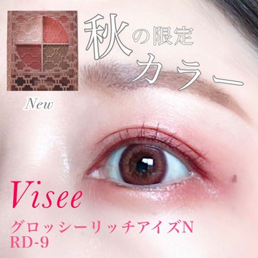 グロッシーリッチ アイズ N/Visée/アイシャドウパレットを使ったクチコミ（1枚目）