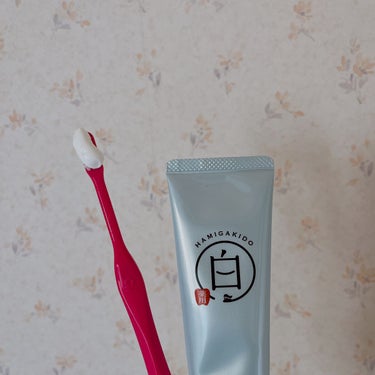 歯磨き堂 薬用ホワイトニングペースト/歯磨き堂/歯磨き粉を使ったクチコミ（3枚目）