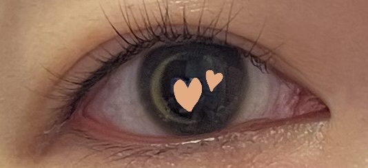 ワンデーリフレア　アイムーン/Refrear/その他を使ったクチコミ（1枚目）