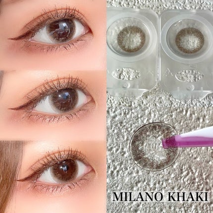 リッチスタンダード プレミアムシリーズ 1day/RICH STANDARD/ワンデー(1DAY)カラコンを使ったクチコミ(3枚目)