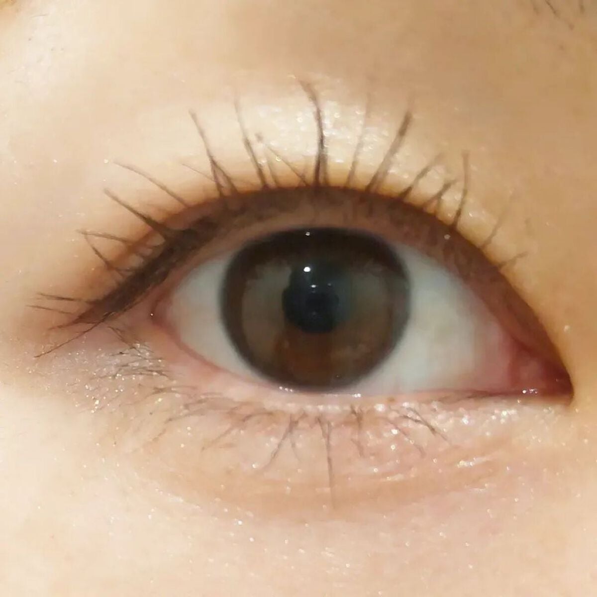 ドラマティックアイラッシュエッセンス/マキアージュ/まつげ美容液を使ったクチコミ(6枚目)