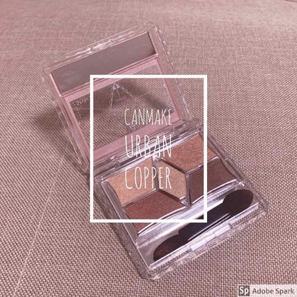 【旧品】パーフェクトスタイリストアイズ/キャンメイク/アイシャドウパレットを使ったクチコミ(1枚目)