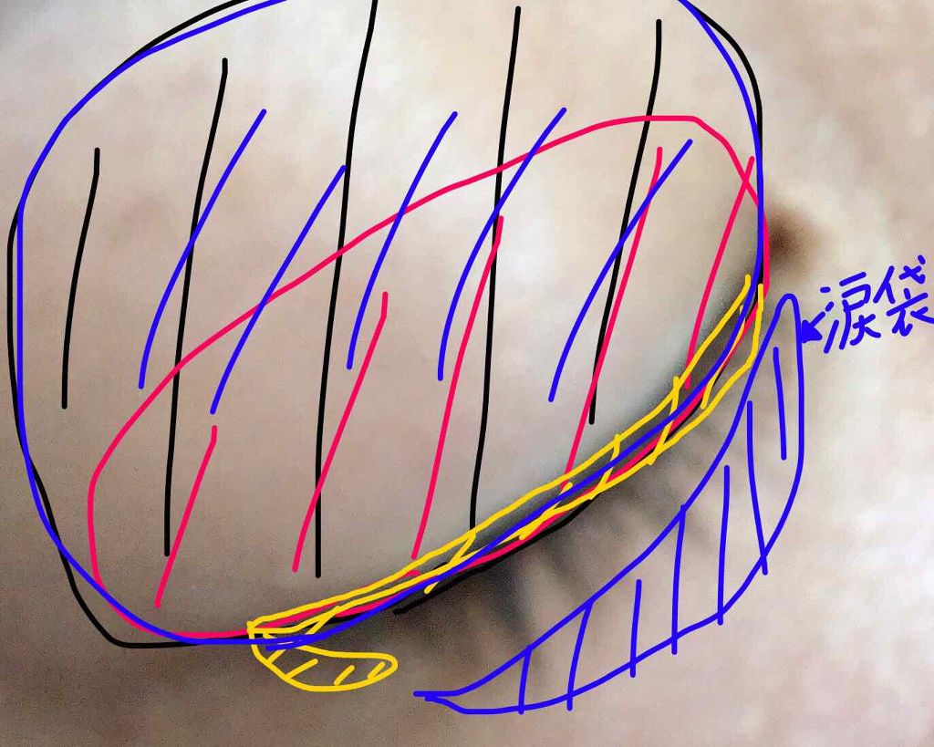 りな on LIPS 「❤️ギャル雑誌LOVEggg❤️✨DaTuRaのアイシャドウ✨..」(2枚目)