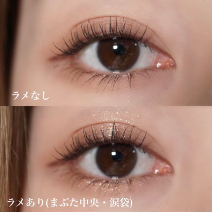 セルフィーフィックスピグメント/Witch's Pouch/単色アイシャドウを使ったクチコミ(6枚目)