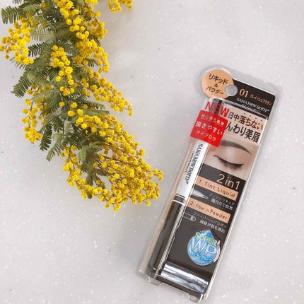 ラスティングWブロウEX N/サナ ニューボーン/リキッドアイブロウを使ったクチコミ(1枚目)