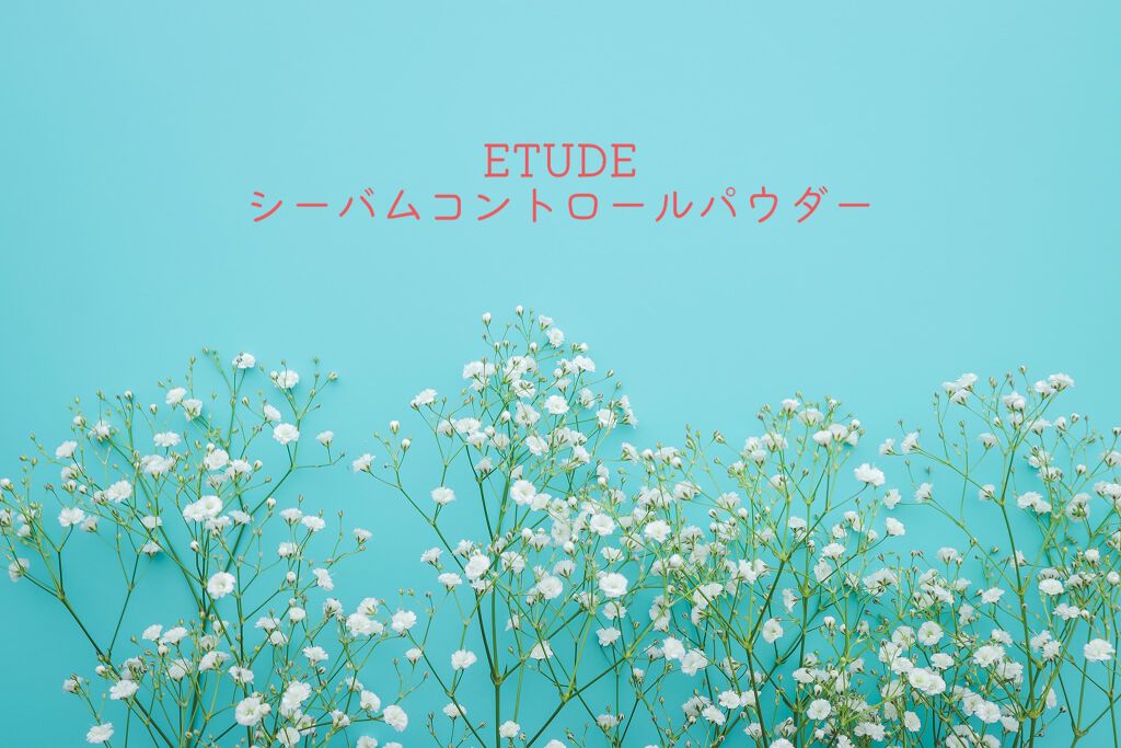 シーバムコントロールパウダー/ETUDE/ルースパウダーを使ったクチコミ（1枚目）