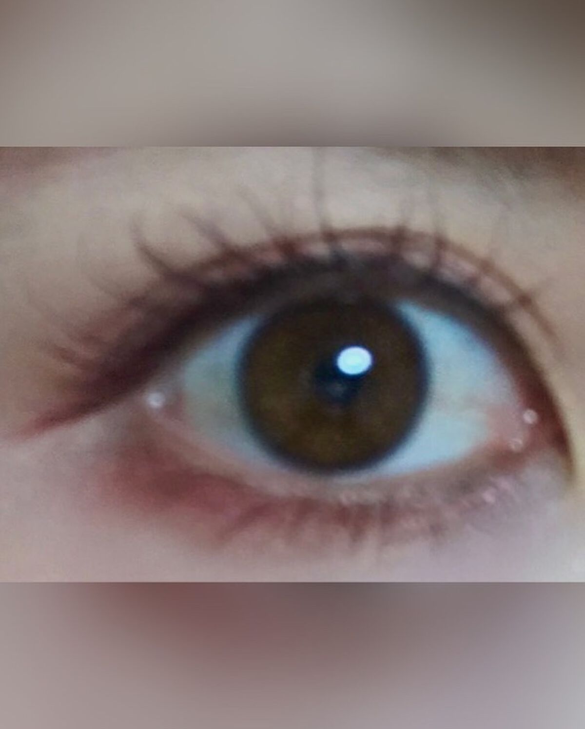 natsuki on LIPS 「こんばんみ🌙🌙*゚ADDICTIONの単色アイシャドウとROS..」(3枚目)