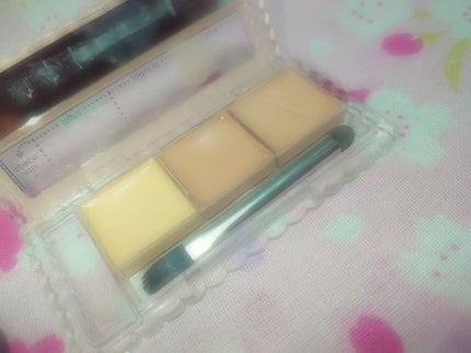 カラーミキシングコンシーラー/キャンメイク/パレットコンシーラーを使ったクチコミ(3枚目)