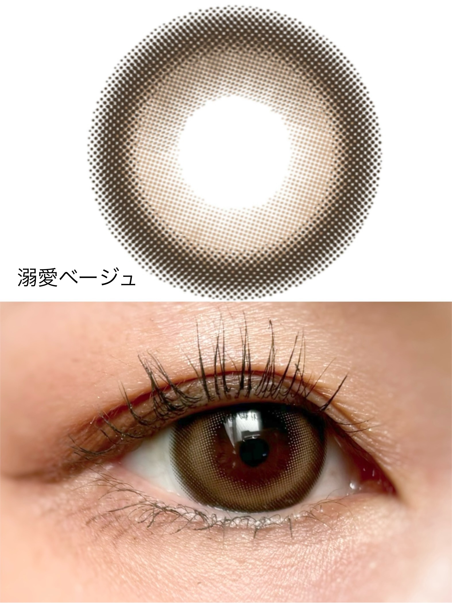 トリコニナル ワンデー/トリコニナル/ワンデー（１DAY）カラコンを使ったクチコミ（3枚目）