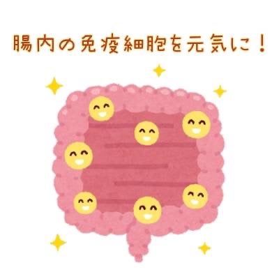 ポケット優光泉/優光泉/酵素ドリンクを使ったクチコミ(2枚目)