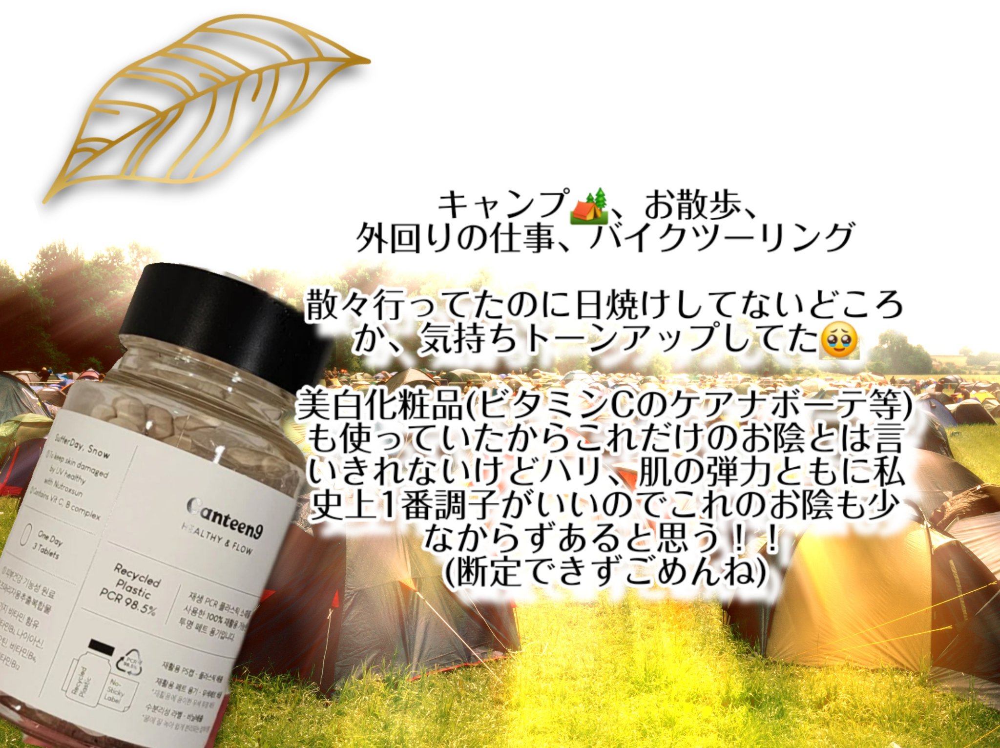 サファーデイ スノー/canteen9/美容サプリメントを使ったクチコミ（2枚目）