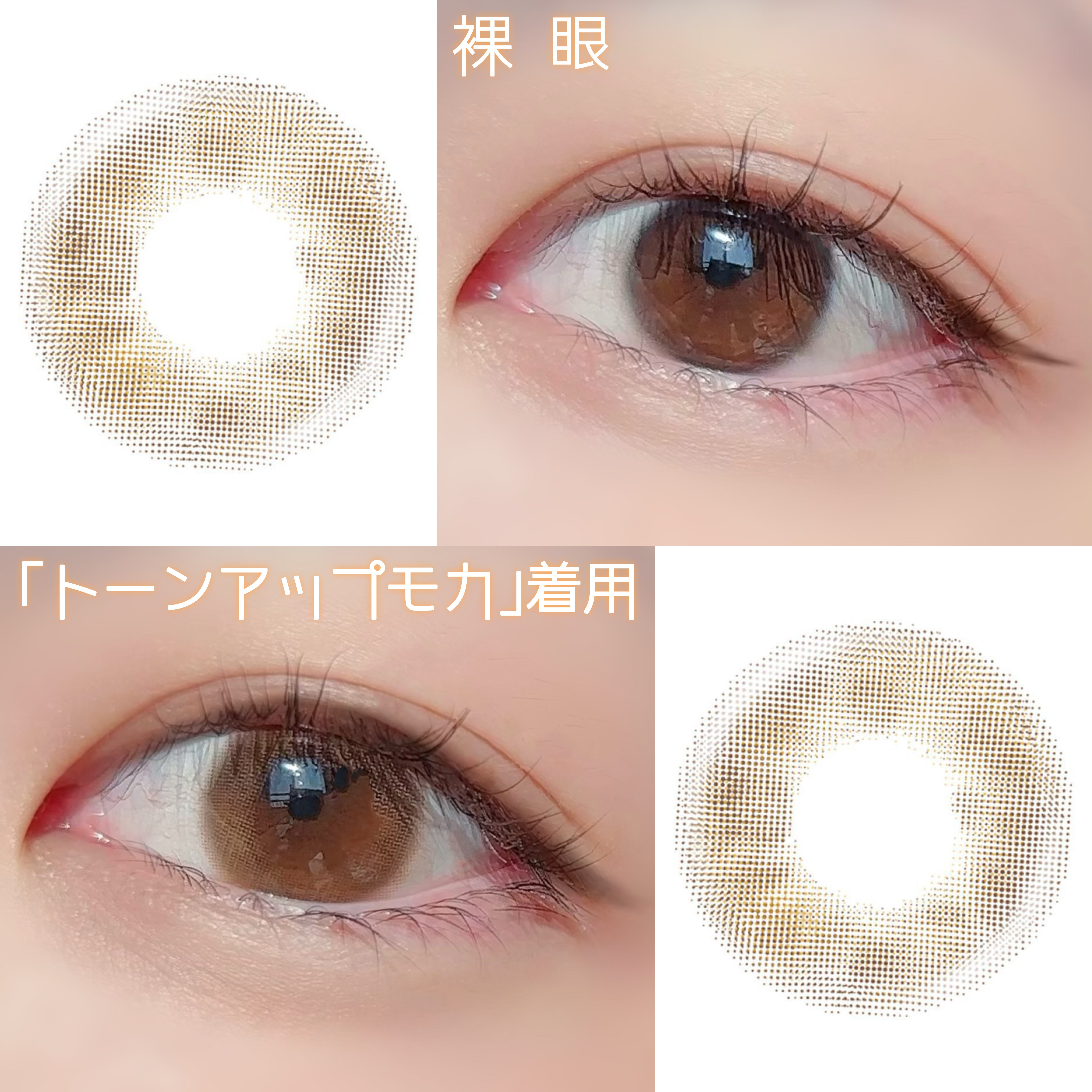 miium 1day サンセットローズ/miium/ワンデー（１DAY）カラコンを使ったクチコミ（2枚目）