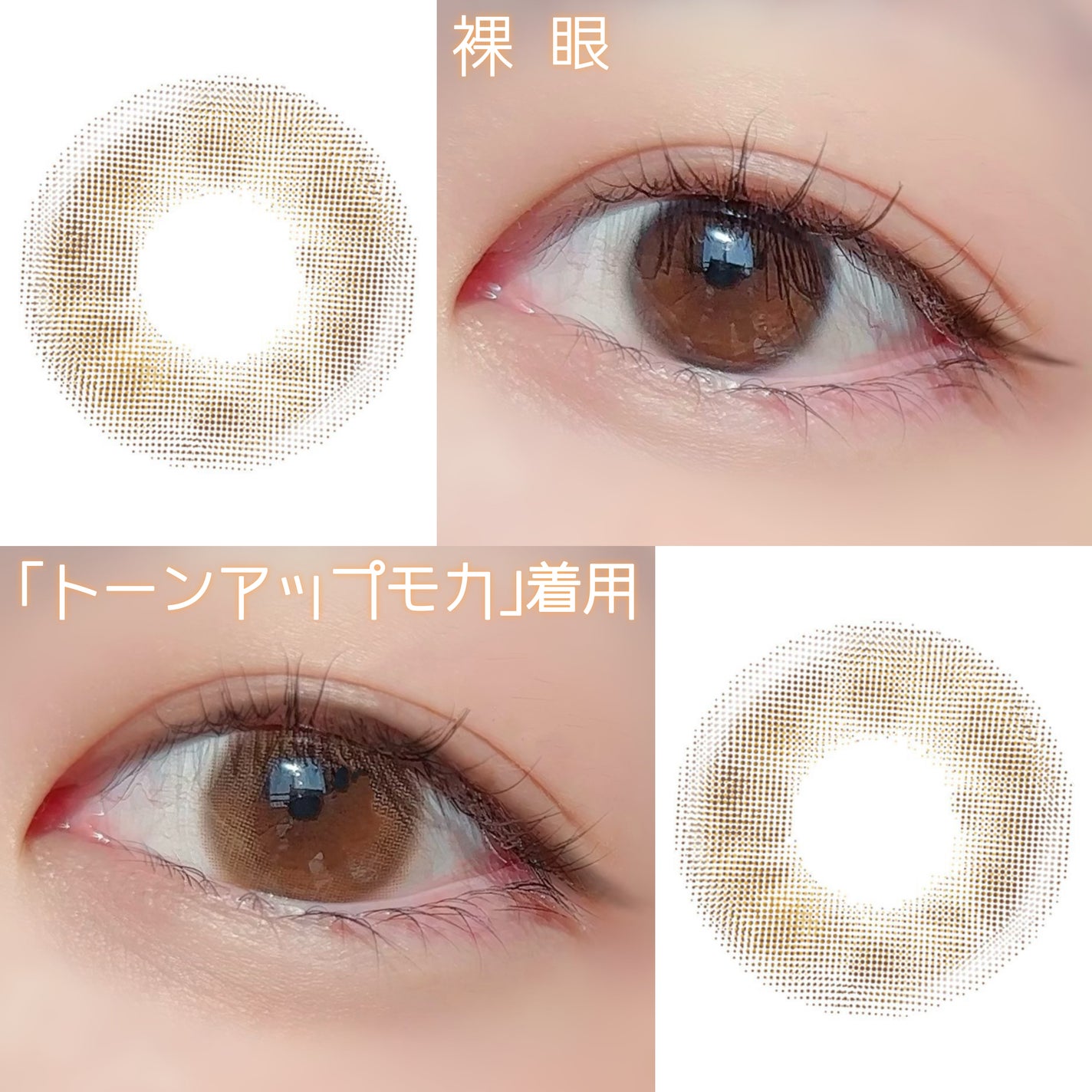 miium 1day/miium/ワンデー(1DAY)カラコンを使ったクチコミ(2枚目)