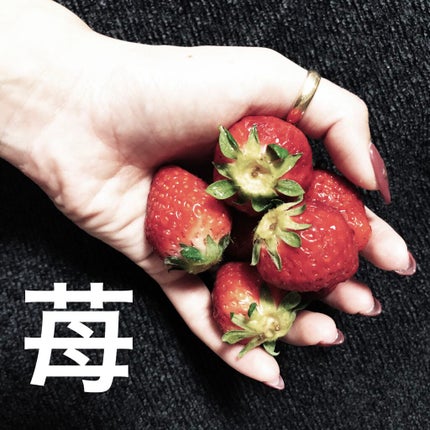 LEAN PROTEIN BAR/MYPROTEIN/プロテインバーを使ったクチコミ(1枚目)