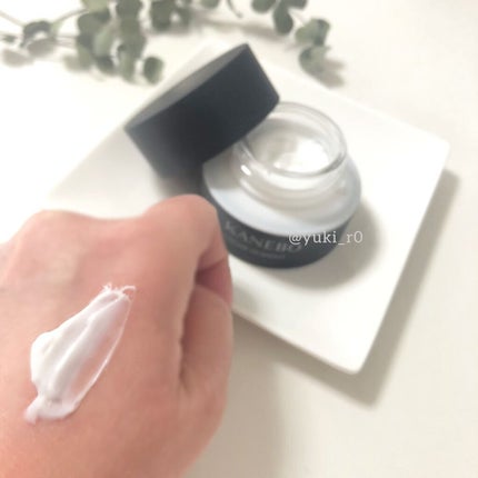 KANEBO カネボウ クリーム イン ナイトのクチコミ「KANEBO CREAM IN NIGHT
カネボウ クリーム イン ナイト
〈夜用クリーム・.....」(2枚目)