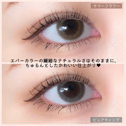 エバーカラーワンデーニコリ/エバーカラー/ワンデー(1DAY)カラコンを使ったクチコミ(5枚目)
