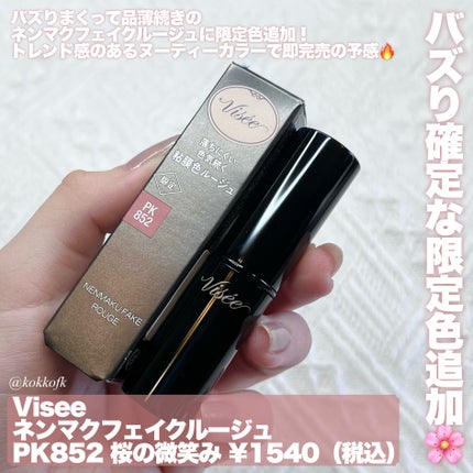 ネンマクフェイク ルージュ/Visée/口紅を使ったクチコミ(2枚目)