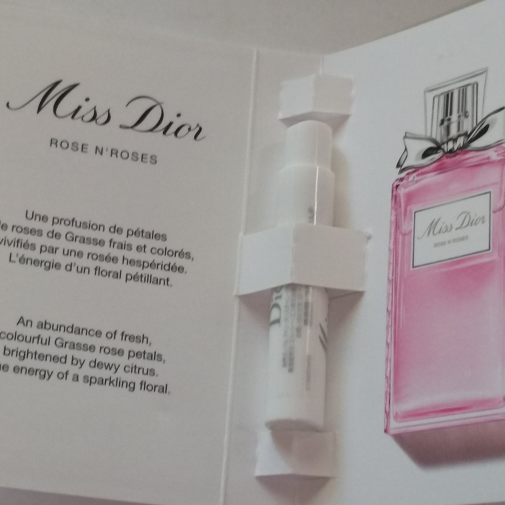 Dior ミス ディオール ローズ&ローズのクチコミ「薔薇の花畑

Dior
ミス ディオール ローズ&ローズ
#提供

#オードトワレ
#フレグラ.....」（3枚目）