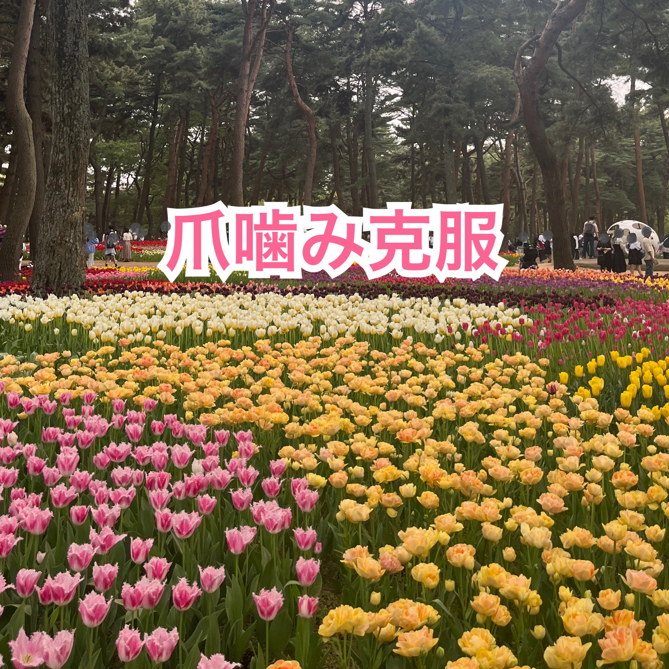 カカオ ハンドクリーム/ロイズ/ハンドクリームを使ったクチコミ（1枚目）