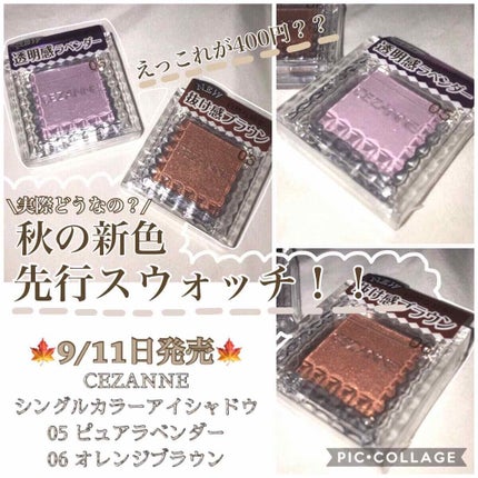 シングルカラーアイシャドウ/CEZANNE/単色アイシャドウを使ったクチコミ(1枚目)