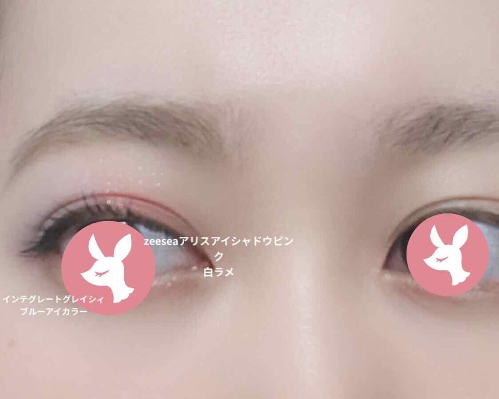 アイカラー/グレイシィ/アイシャドウパレットを使ったクチコミ（1枚目）