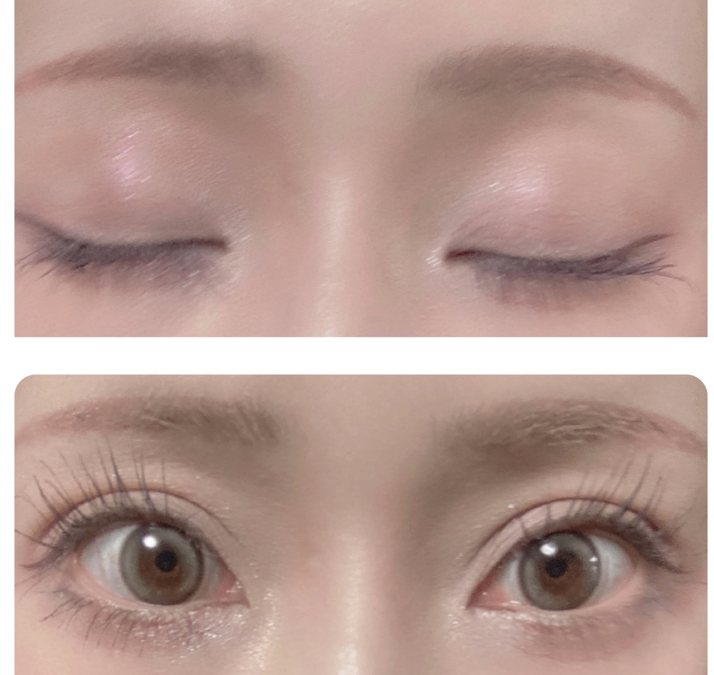 ビーマイベストフレンズハウスパレット/Milk Touch/アイシャドウパレットを使ったクチコミ（3枚目）