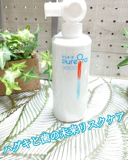 ピュオーラ36500 薬用ハグキ高密着クリームハミガキ/ピュオーラ/歯磨き粉を使ったクチコミ(1枚目)