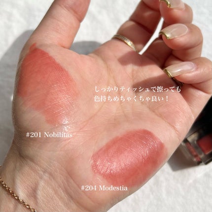 ブラーフィニシュシャドウパレット/Dinto/アイシャドウパレットを使ったクチコミ(6枚目)